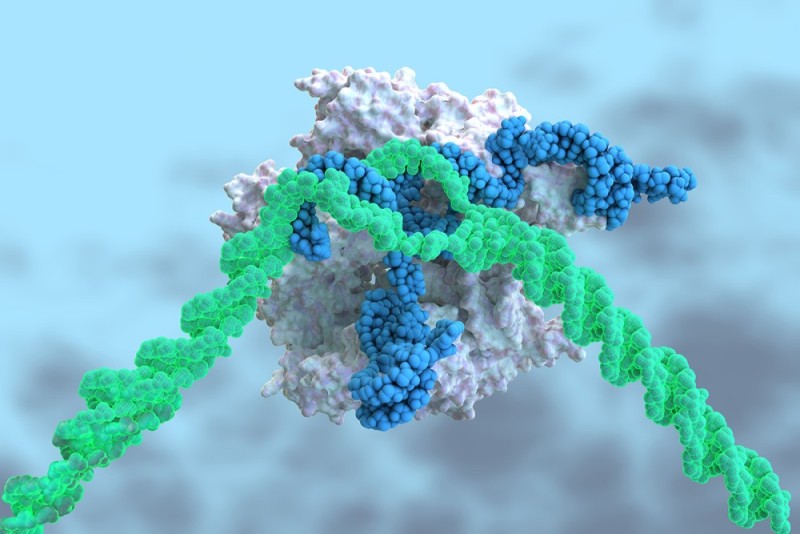 Researchers will use a CRISPR-based approach to screen the universe of all possible ligand/receptor communications in cancer ecosystem models.