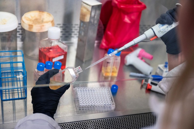 A researcher working in an MSK lab