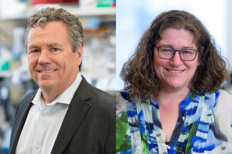 Scott Lowe and Dana Pe'er