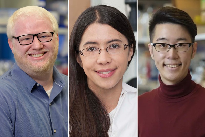 A triptych of GSK alumni Robert Bowman, Elizabeth Wasmuth, and Zhong-Min Wang. 