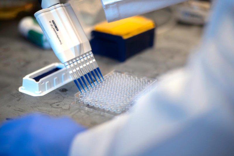 A liquid being pipetted into a well plate.