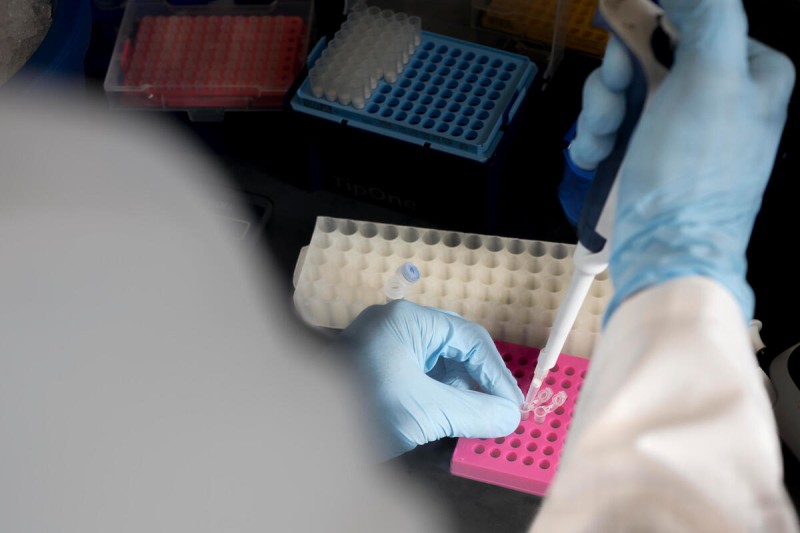 An MSK researcher at work in the lab