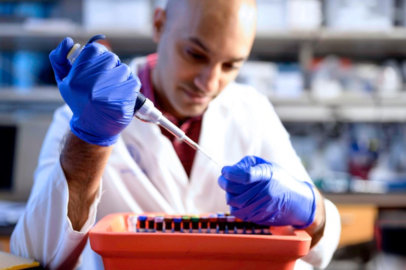 Decoding T-Cell Lymphoma: How Molecular Biology Is Driving a New Era of Targeted Treatment