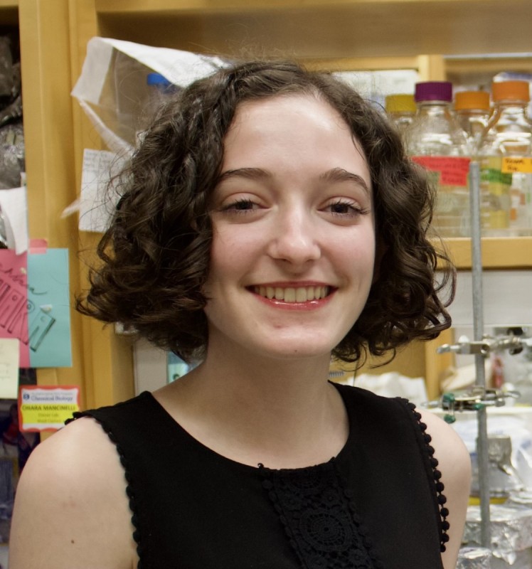 Shira Freilich 