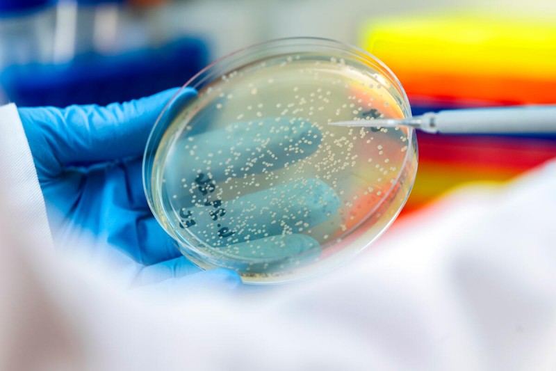 Detail of a researcher working in an MSK lab