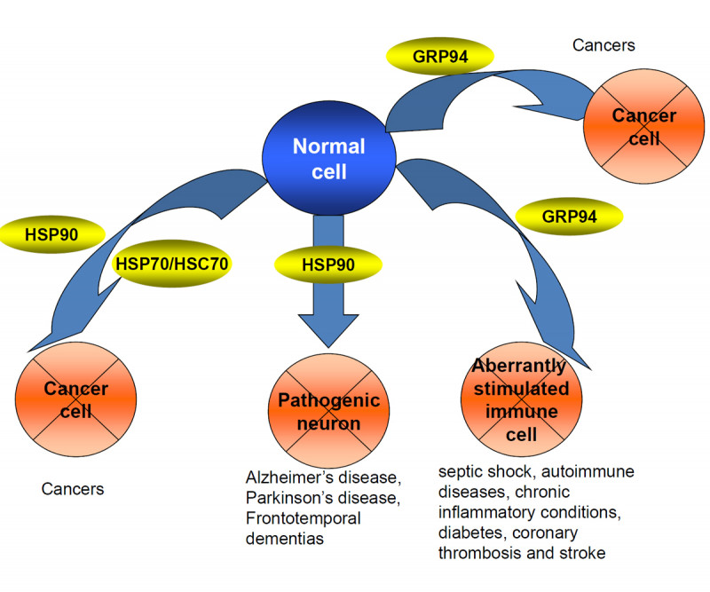 Chemical Biology Approach to Investigate Regulation of Pathogenic