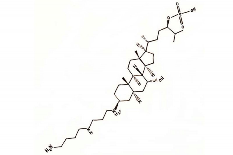 Squalamine