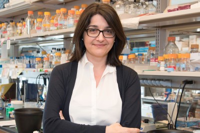 Christine Mayr, MD, PhD
