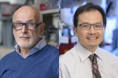 Dr. Rudensky and Dr. Wong, two cancer immunotherapy specialists who work at MSK in NYC.