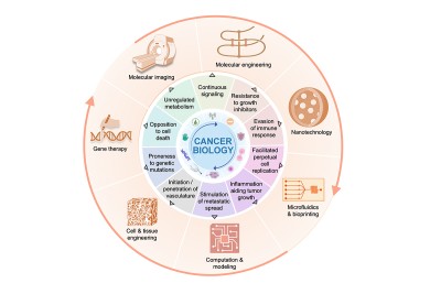 Citation: Keshari, K., Heller, D., Boltyanskiy, R., Hricak, H., Magaldi, T., Overholtzer, M. Engineering focusing on cancer. Cancer Cell, (42)7, 1138-1141