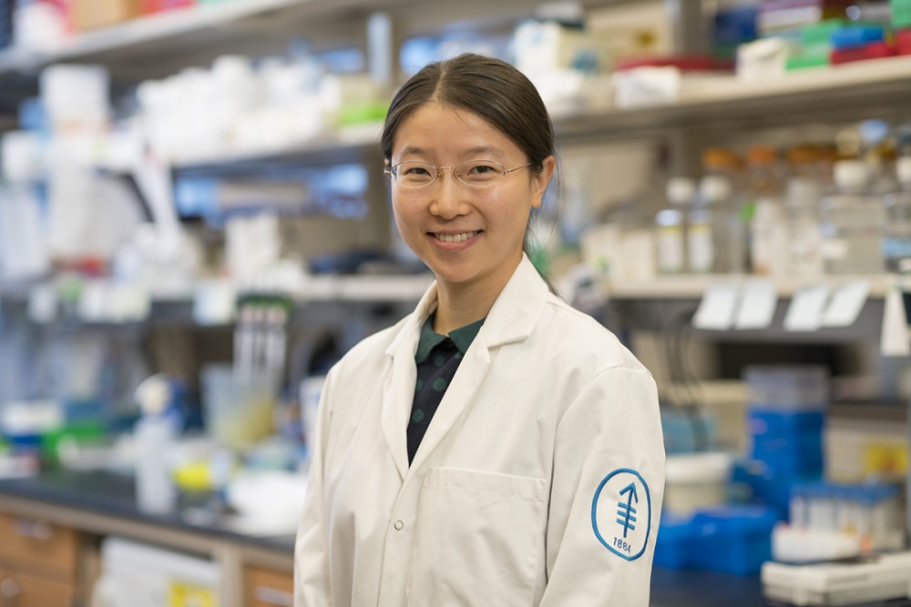 Xiang (Grace) Li | Sloan Kettering Institute