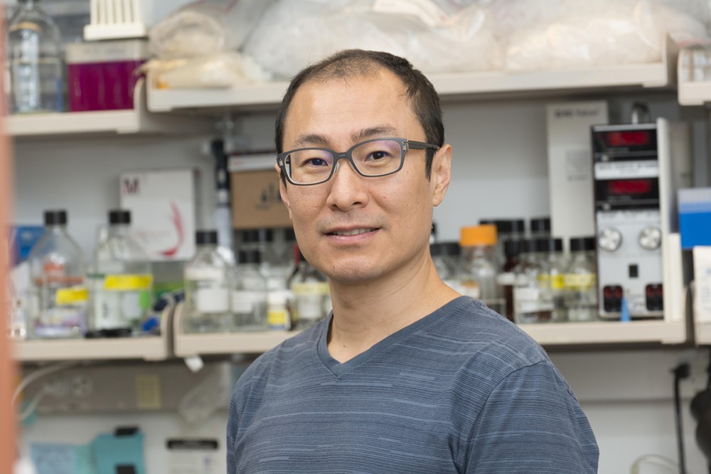 Jing Ping Hsin | Sloan Kettering Institute