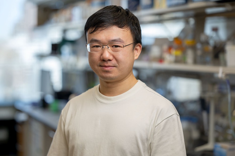 Yu Xia | Sloan Kettering Institute