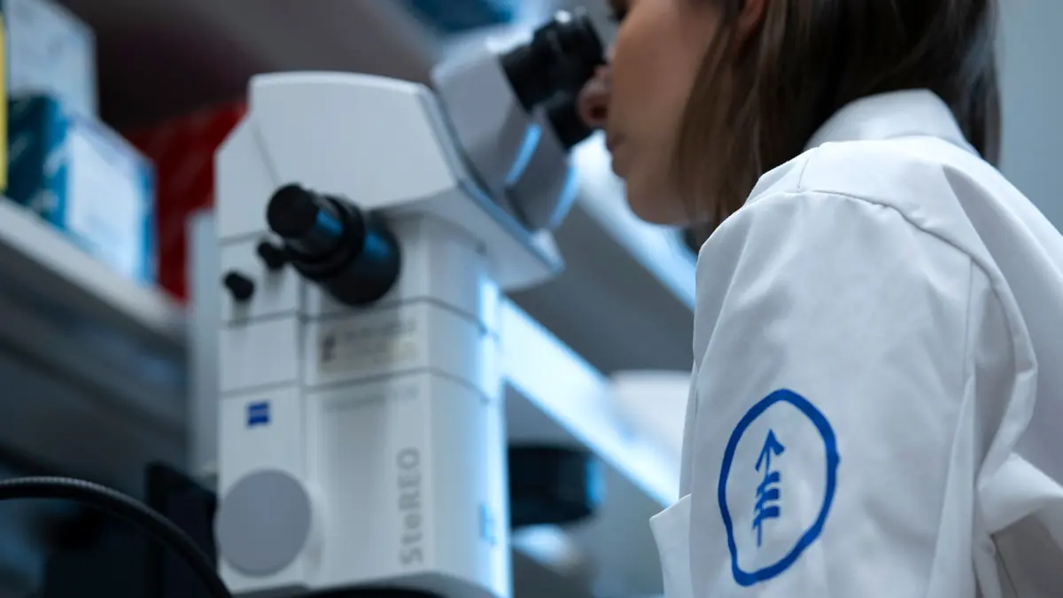 An MSK research associate uses a stereomicroscope. 