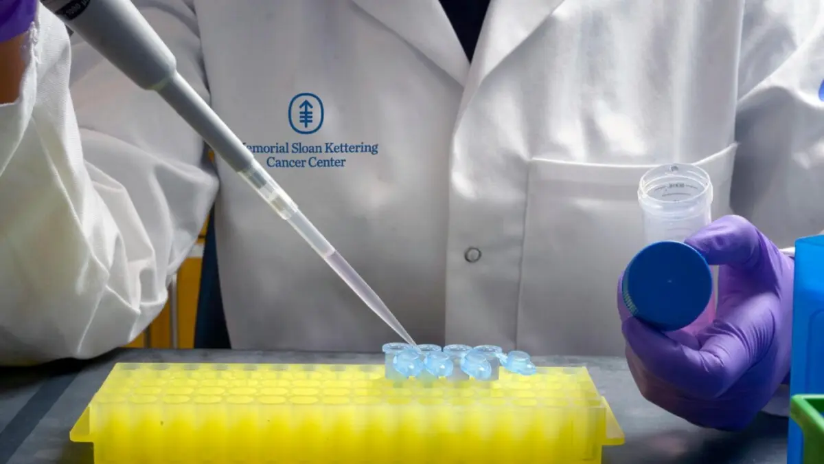 Laboratory research is critical for developing new blood cancer treatments.