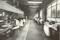 people working in a lab
