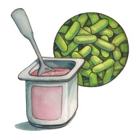 Probiotics