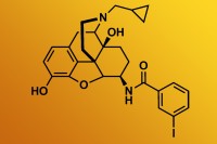 Pictured: Structural formula of IBNtxA