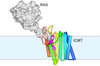 A gray blob marked RAS linked to colorful rods marked ICMT