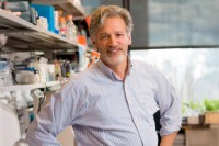 Robert Benezra Lab Group