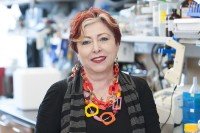The Adriana Haimovitz-Friedman Lab
