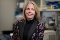 The Britta  Weigelt Lab