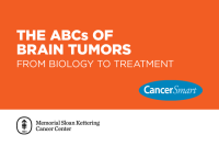 CancerSmart: The ABCs of Brain Tumors: From Biology to Treatment