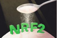 An illustration of sugar pouring onto NRF2