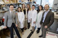 The latest results come from a team of MSK physicians and scientists (from left to right): Bob Li, Hai-Yan Tu, Mackenzie Myers, Flavia Michelini, Emiliano Cocco, Sandra Misale, and Maurizio Scaltriti