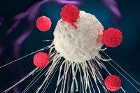 T Cell attacking cancer cell