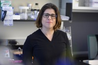 MSK molecular biologist Agnel Sfeir