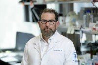 Luis Alberto Diaz, Jr.