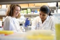 Along with being a dedicated researcher, Dr. Chrysothemis Brown excels as a mentor to trainees like Gayathri Shibu (right).