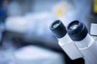 detail shot of a microscope in an MSK lab