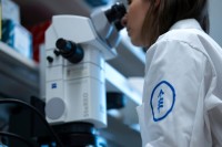 An MSK scientist peers through a microscope