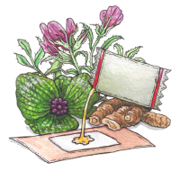 CheeZheng pain-relieving plaster