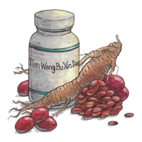 Tian Wang Bu Xin Dan 