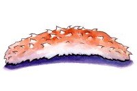 Sea Cucumber