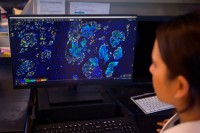 A researcher working in an MSK lab