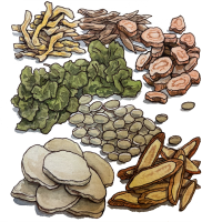 Sha Shen Mai Men Dong Tang