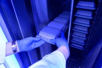 MSK Study Pinpoints Genomics of Recurrent Gastric Cancer to Improve Personalized Care