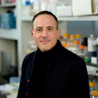 Pictured: The Niethammer Lab