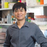 Yufeng  Shi, PhD