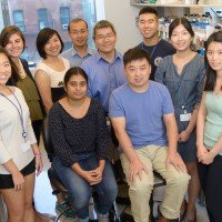 The Chen Lab