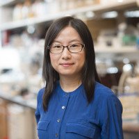 Jing Hu, PhD