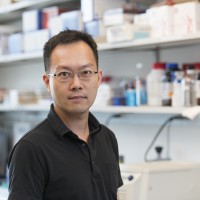 Nick P.M. Chen, PhD
