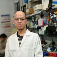 Tao Wu, PhD