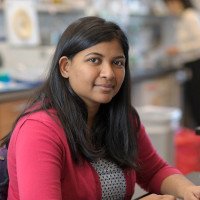 Roshni Basu, PhD