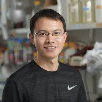 Shibai Li, PhD