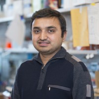 Prerak Trivedi, Research Fellow